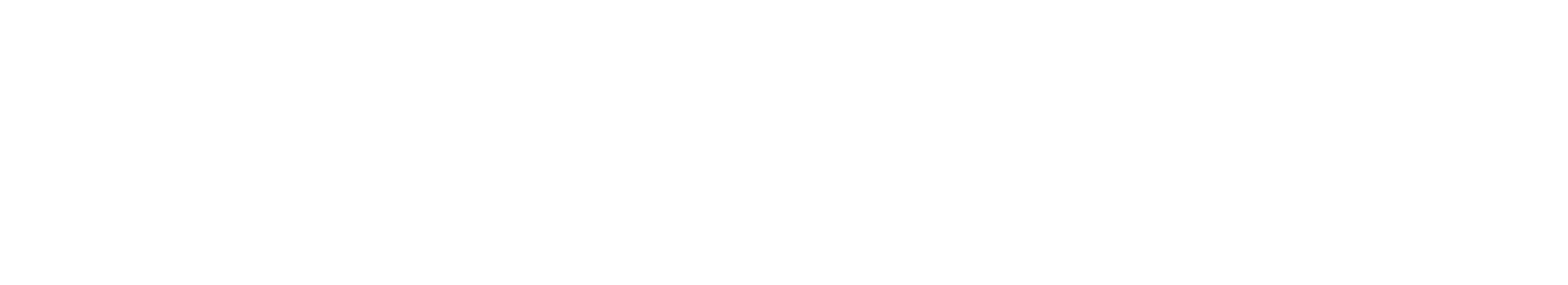 SecretService Logo