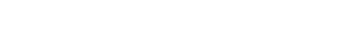 SecretService Logo